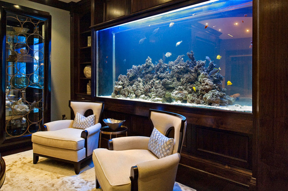 best living room fish tank